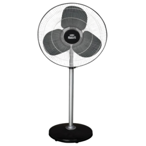 Fans